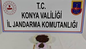 Konya İl Jandarma Komutanlığından 4 ilçede uyuşturucu operasyonu